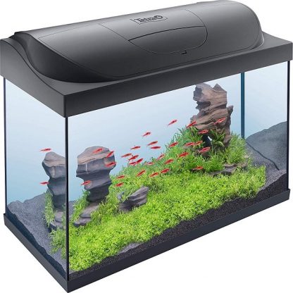 Tetra Starter Line Tank LED Black 54lt - salesbackup