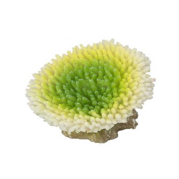 Aqua Della Coral acropora efflorescens lime 10.5x9x8cm - Τεχνητά Διακοσμητικά