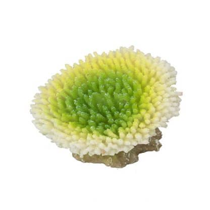 Aqua Della Coral acropora efflorescens lime 10.5x9x8cm - Τεχνητά Διακοσμητικά