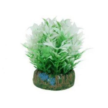 Aqua Nova Plastic plant  – 4cm - Τεχνητά Διακοσμητικά