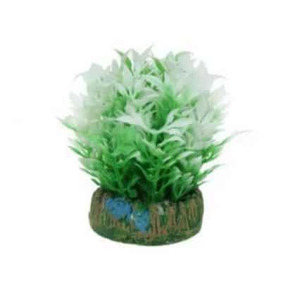 Aqua Nova Plastic plant  – 4cm - Sales