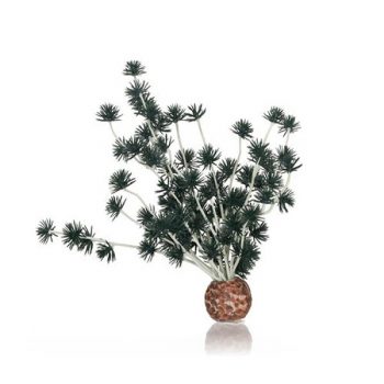 Oase biOrb Bonsai ball black - Τεχνητά Διακοσμητικά