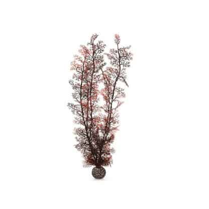 Oase biOrb Sea fan XL Crimson 49 cm - Τεχνητά Διακοσμητικά