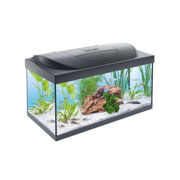 Tetra Starter Line Tank LED Black 54lt - Sales