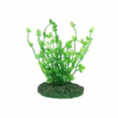 Aqua Nova Plastic plant 10cm - Τεχνητά Διακοσμητικά