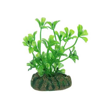 Aqua Nova Plastic plant – 4cm - Sales