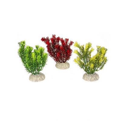 Aqua Della Plants Canandesis Set S natural 13cm assorted - Τεχνητά Διακοσμητικά