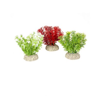 Aqua Della Plants Hottomia 10cm assorted - Τεχνητά Διακοσμητικά