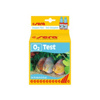 Danio rerio – Zebra Danio Colour Mix 2.5-3.5cm - Ψάρια Γλυκού