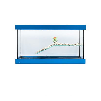 GCF χελωνιέρα γυάλινη μπλε 40x20x20 - Χελωνίερες