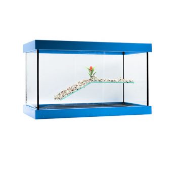 GCF χελωνιέρα γυάλινη μπλε 40x20x20 - Χελωνίερες