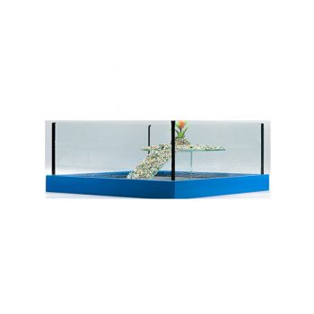 GCF χελωνιέρα γυάλινη τετράγωνη + πλαίσιο μπλε 31.5×31.5×11.5 - Χελωνίερες