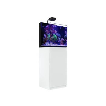 Tetra Betta 100ml - Sales