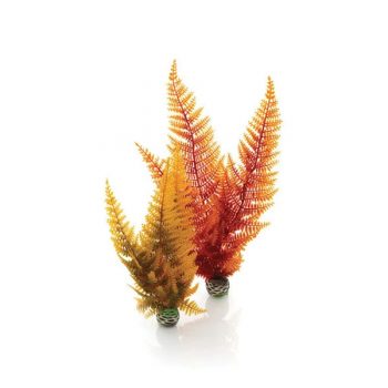 Oase BiOrb decor Aquatic autumn fern set - Τεχνητά Διακοσμητικά