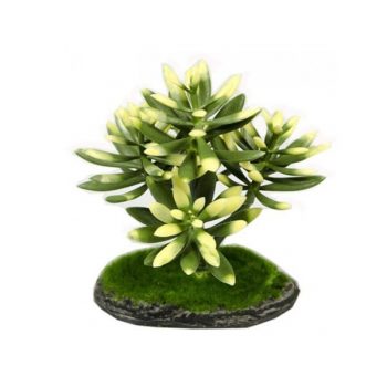 Aqua Nova Plastic plant 15cm - Τεχνητά Διακοσμητικά