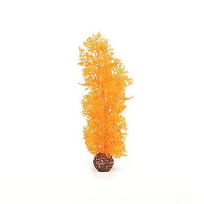 Oase Biorb sea fan M orange - Τεχνητά Διακοσμητικά