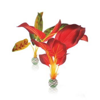 OASE BiOrb Decor Silkplant Set L Green