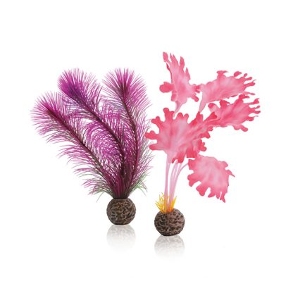 Oase Biorb Kelp Set S Pink - Τεχνητά Διακοσμητικά