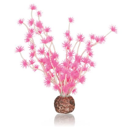 Oase biOrb Bonsai ball Pink - Τεχνητά Διακοσμητικά