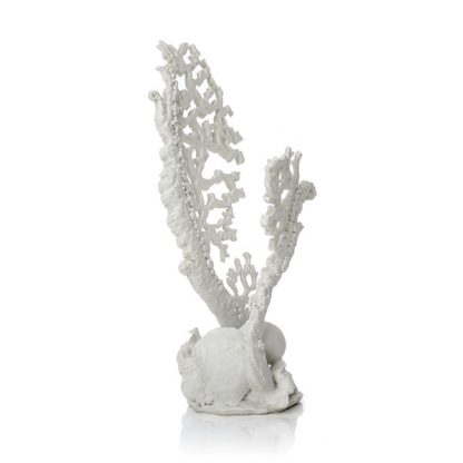 Oase biOrb Fan coral ornament M white - Τεχνητά Διακοσμητικά
