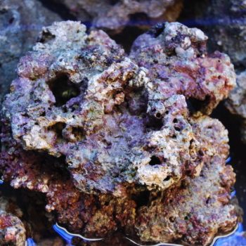 Seachem Flourite Black 3.5kg - Υγρά Λιπάσματα