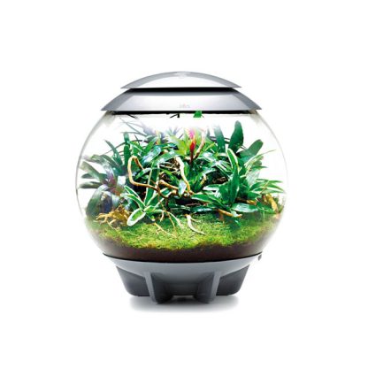 Oase Biorb Air 60 grey (Terrarium – Vivarium) - Μικρά < 60 lt