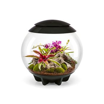 Dennerle Nano Scaper’s Tank 35lt - Μικρά < 60 lt