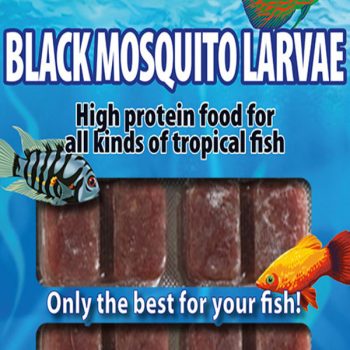 Ruto Black Mosquito Larvae Blister 100 Gr. - Κατεψυγμένες τροφές