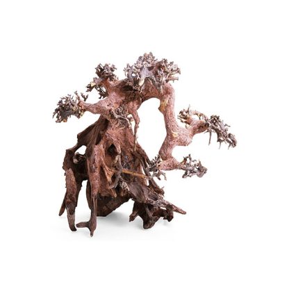 Haquoss Bonsai Driftwood 2 Medium 24x16x20h cm - Ξύλα