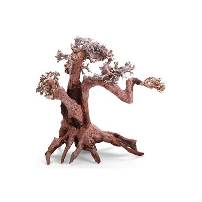 Haquoss Bonsai Driftwood 3 medium 24x16x20 cm - Ξύλα