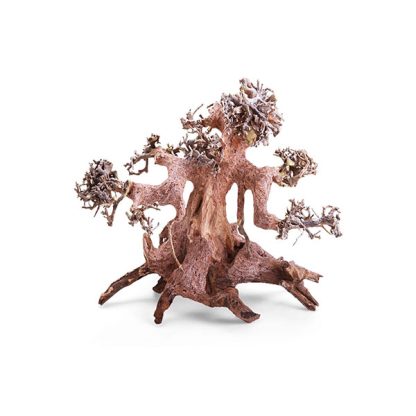 Haquoss Bonsai Driftwood 4 Small 23x12x15h cm - Ξύλα