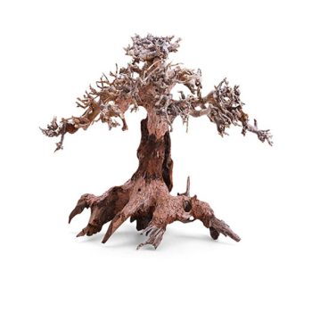 Haquoss Bonsai Driftwood 5 Small 23x12x15cm - Ξύλα