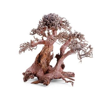 Haquoss Bonsai Driftwood 9 Medium 24x16x20 cm - Ξύλα