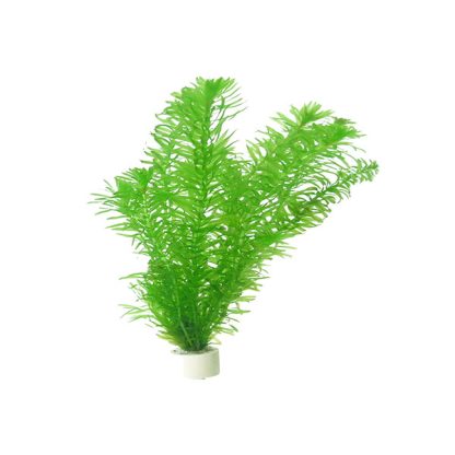 SonGrow Egeria densa (not rooted) – Pot - Φυτά για Ενυδρεία