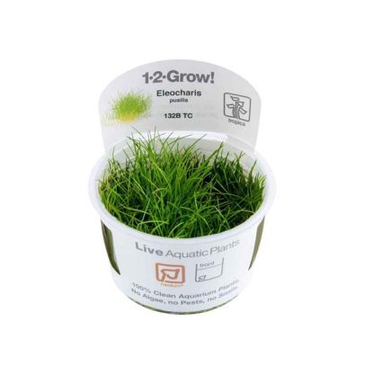 Tropica Eleocharis pusilla  mini1-2-Grow! - Φυτά για Ενυδρεία