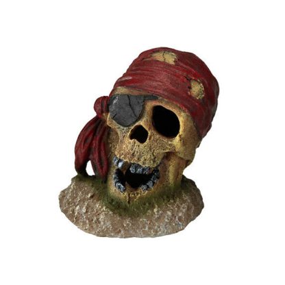 Aqua Della Pirate Skull Eye 7 x 7 x 8 cm - Τεχνητά Διακοσμητικά