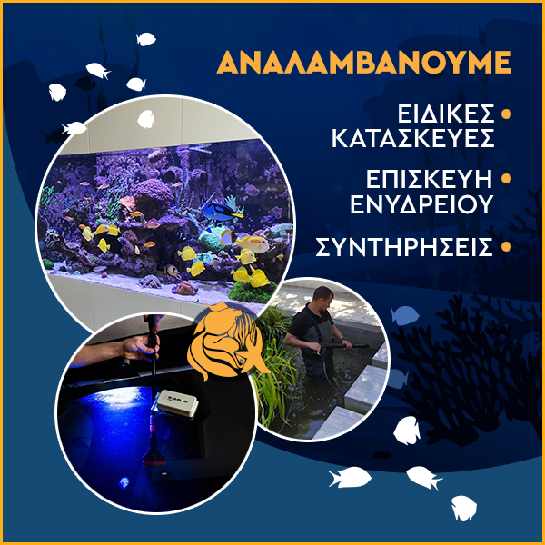 Ενυδρεία – Εξοπλισμός Ενυδρείων