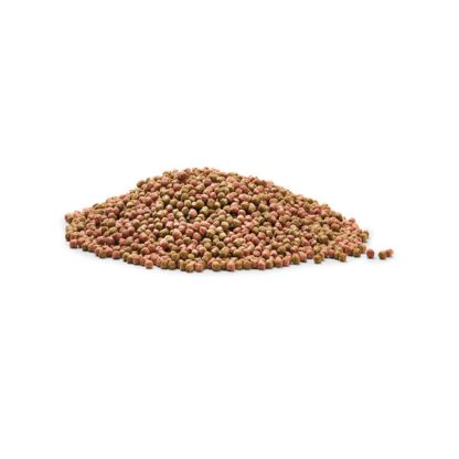 Oase Dynamix Koi Pellet large 4 l - Ξηρές τροφές