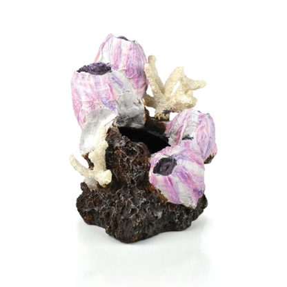 Oase BiOrb Barnacle Ornament S Pink - Τεχνητά Διακοσμητικά