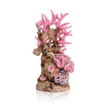 Oase BiOrb Reef Ornament Pink - Τεχνητά Διακοσμητικά