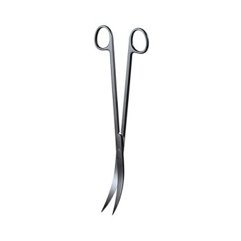 Aqua Nova Curved Scissors 25cm - Sales