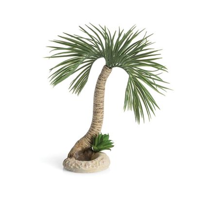 Oase biOrb Palm Tree Seychelles L - Τεχνητά Διακοσμητικά