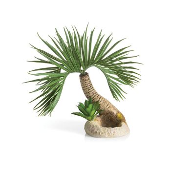 Oase biOrb Palm Tree Seychelles S - Sales