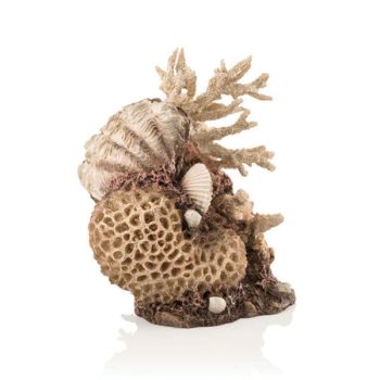 Oase Βiorb Coral-shells Ornament Natural - Τεχνητά Διακοσμητικά