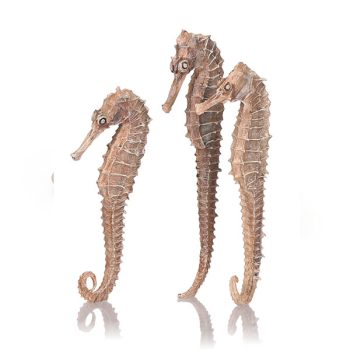 Oase Βiorb Seahorses 3 Pack Natural - Τεχνητά Διακοσμητικά