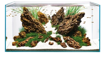 Oase ScaperLine 90 90x45x45cm - Μεγάλα > 180 lt