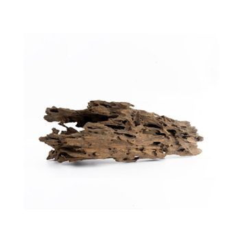 Haquoss Bonsai Driftwood 11 Medium 23x9x14h cm - Sales