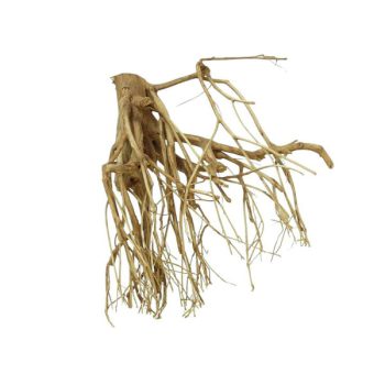 Haquoss Bonsai Driftwood 11 Medium 23x9x14h cm - Sales