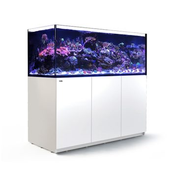 Red Sea Reefer XXL900 G2+ Black - Μεγάλα > 180 lt