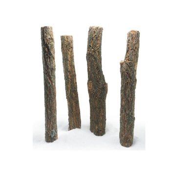 Haquoss Straight Wood Large 40-50cm - Ξύλα